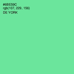 #6BE59C - De York Color Image